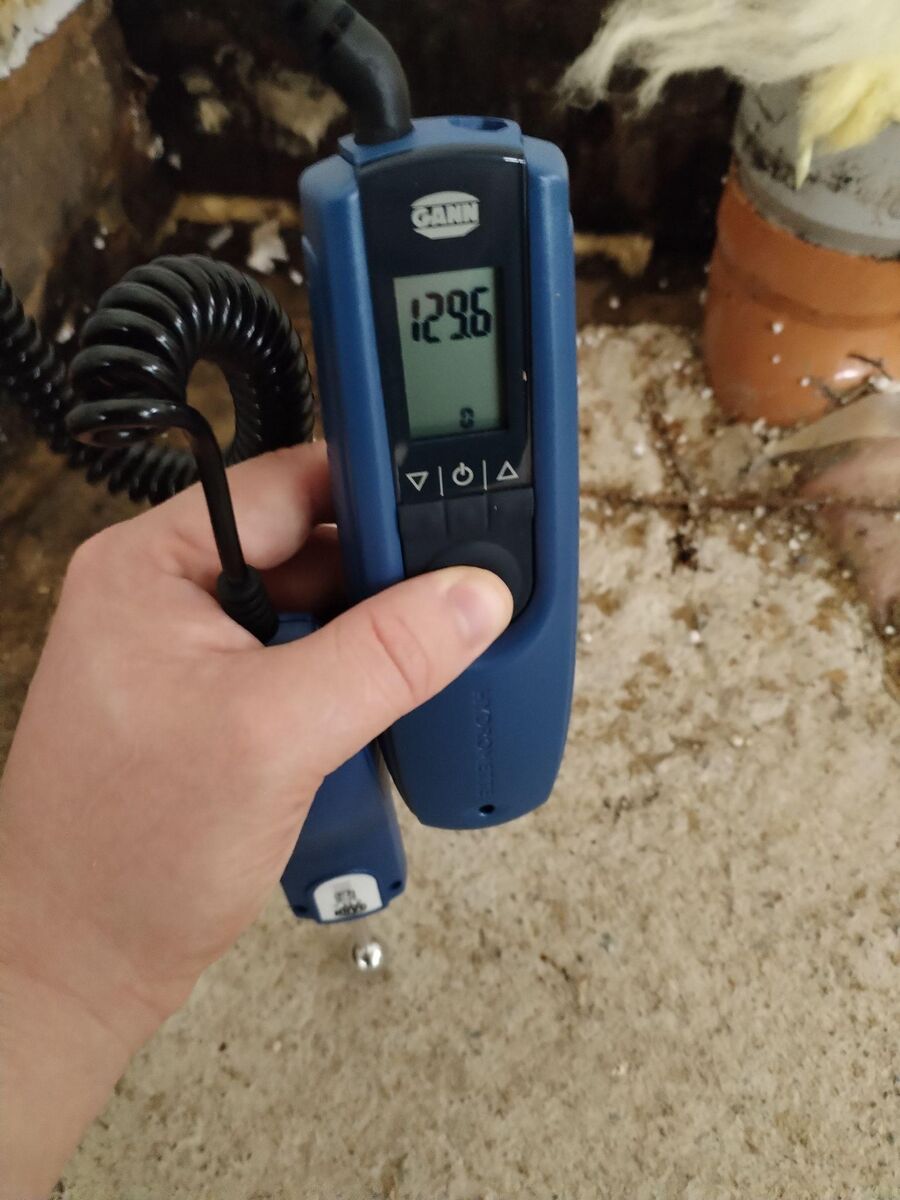 Kosteusmittaus GANN-mittarilla